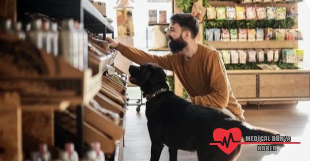 Köpek ve kedi sahipleri sürdürülebilir diyetlere daha açık