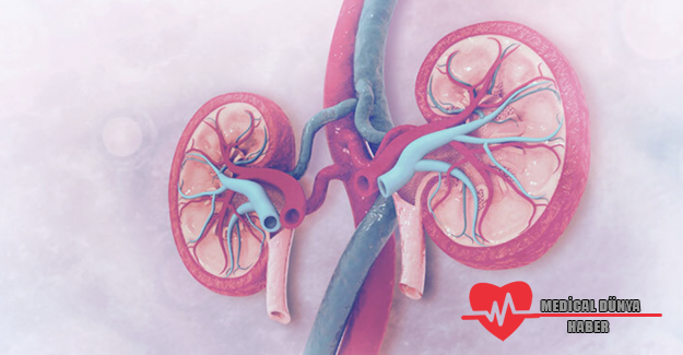 Sağlıklı böbrekler için çocukluktan önlem alınmalı!