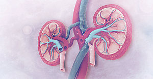 Sağlıklı böbrekler için çocukluktan önlem alınmalı!