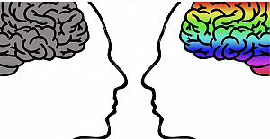 Beyin dokusu acıyı hissetmiyor