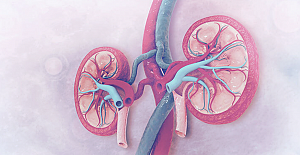 Sağlıklı böbrekler için çocukluktan önlem alınmalı!